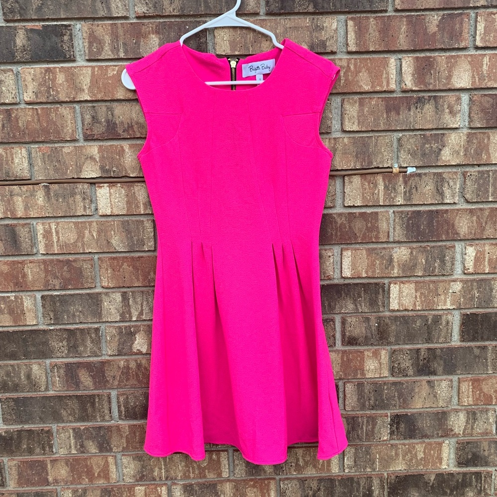 Brigitte Bailey Pink Dress👗